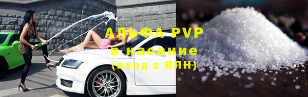 хмурый Белокуриха