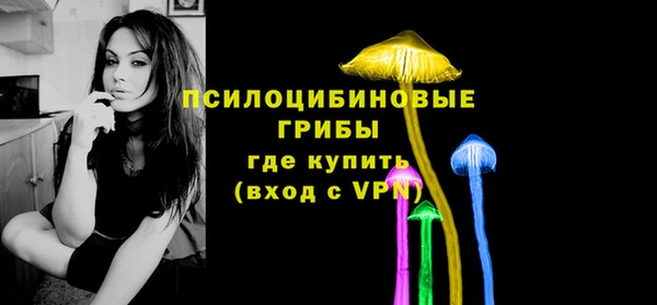 ГАЛЛЮЦИНОГЕННЫЕ ГРИБЫ Богородицк