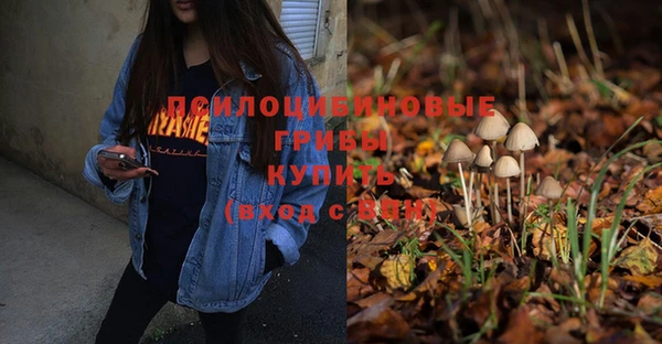 прущая мука Богданович