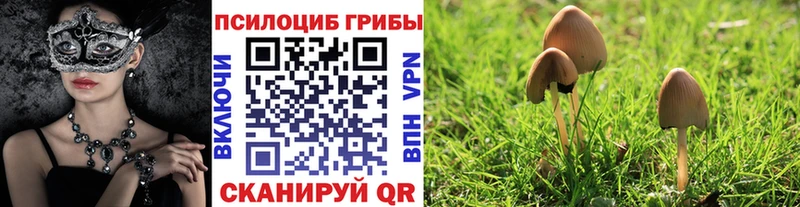 Галлюциногенные грибы прущие грибы  omg рабочий сайт  Сухой Лог 